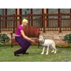 Les Sims 2 : Animaux & Cie