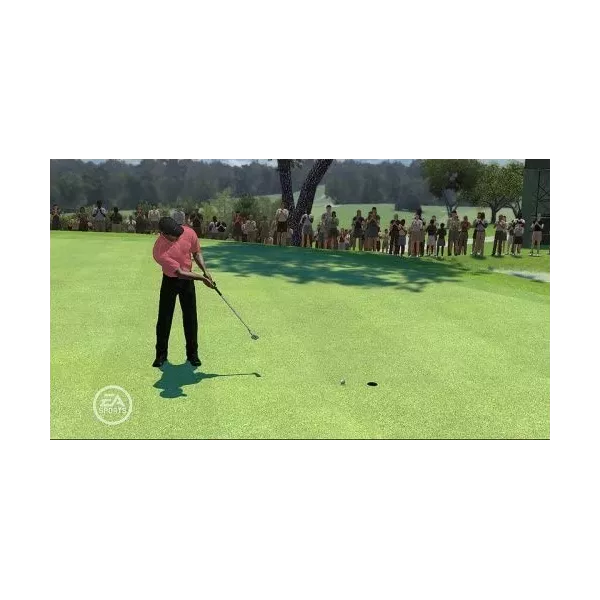 Tiger Woods PGA Tour 08