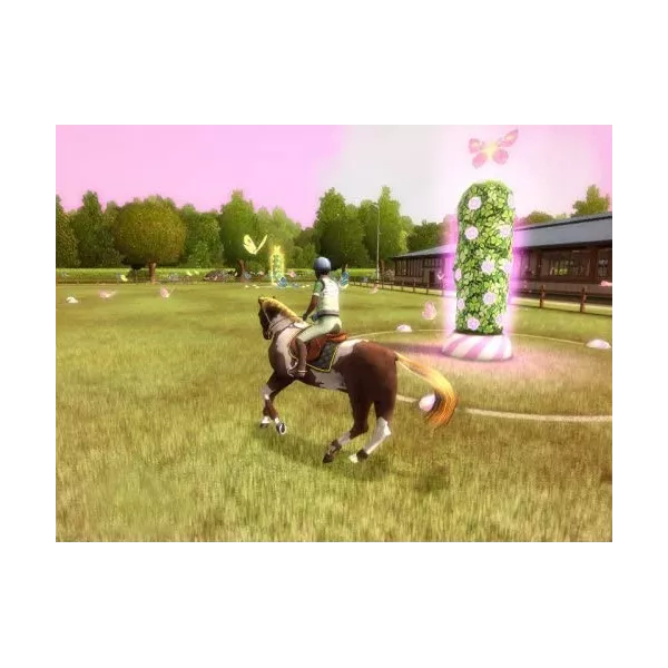 Mon cheval et moi + L'académie des animaux Nintendo DS