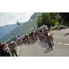 Pro cycling manager - Tour de France 2012 - silver