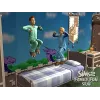 Les Sims 2 Kit : Fun en famille (Disque additionnel)