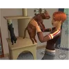 Les Sims 2 : Animaux & Cie