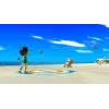 Wii Sports Resort + Wii Motion Plus Wii