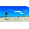 Wii Sports Resort Nintendo Wii