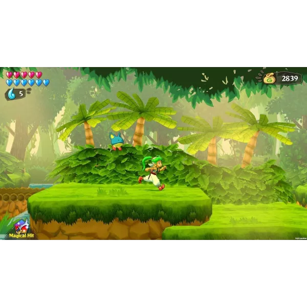 Wonder Boy Asha In Monster World Nintendo Switch