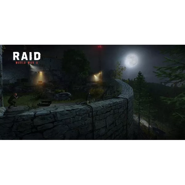 RAID: World War II PS4