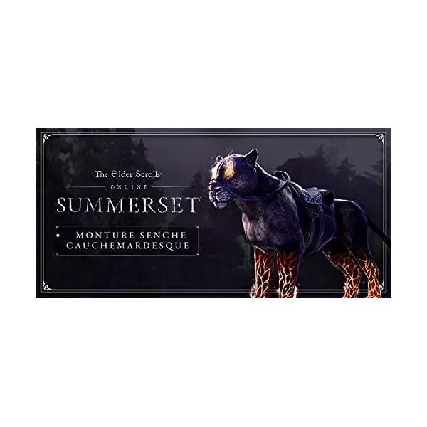 The Elder Scrolls online: Summerset PS4