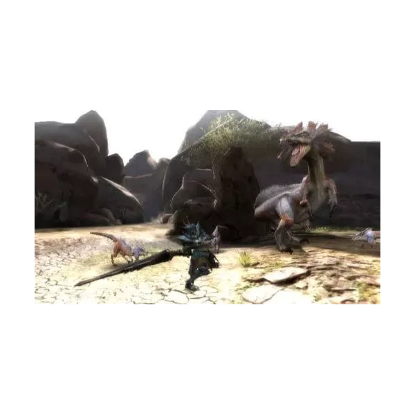 Monster hunter 3