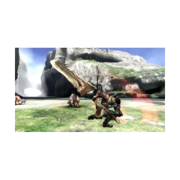 Monster hunter 3