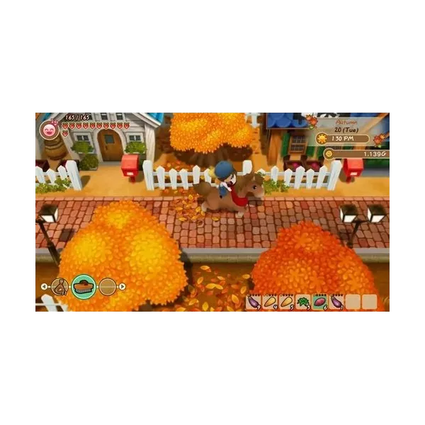 Story of Seasons : Friends of Mineral Town PS4