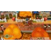 Story of Seasons : Friends of Mineral Town PS4