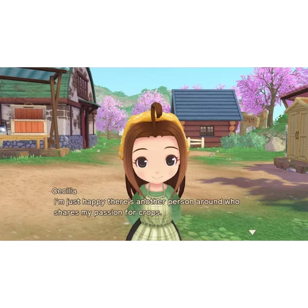 Story Of Seasons A Wonderful Life Nintendo Switch