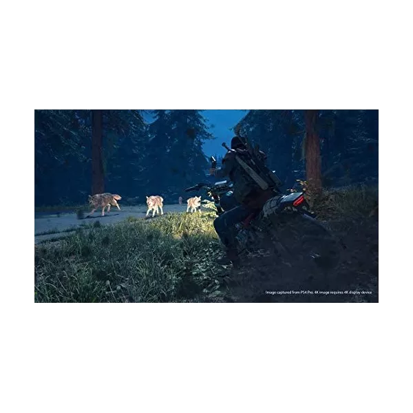 Days Gone Edition Spéciale