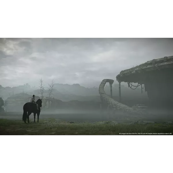 Shadow of the Colossus PS4