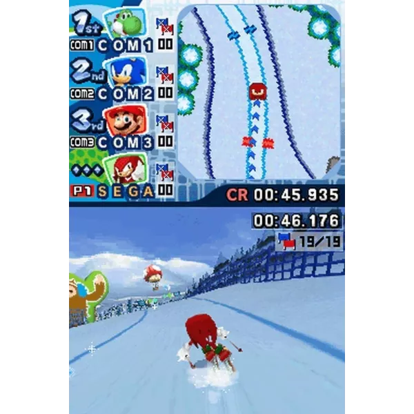 Mario & Sonic aux Jeux Olympiques d'hiver de Vancouver 2010 Nintendo DS