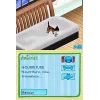 Catz Nintendo DS