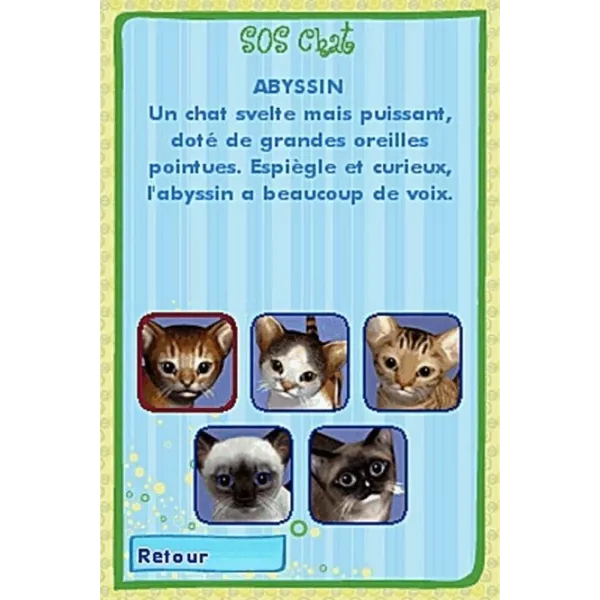 Catz Nintendo DS