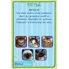 Catz Nintendo DS