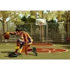 NBA Street, volume 3