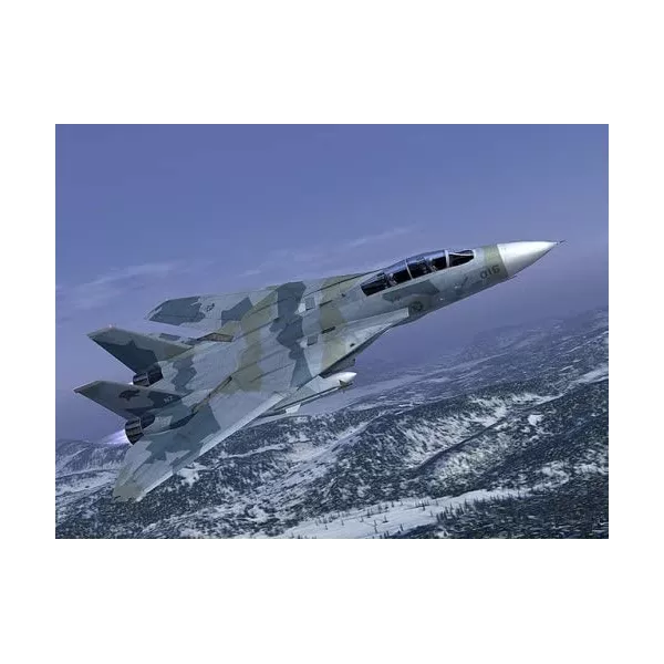 Ace Combat 5 - Squadron Leader