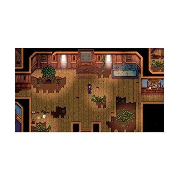 Stardew Valley Edition Collector