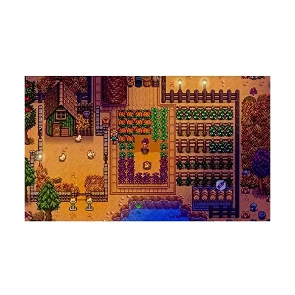 Stardew Valley Edition Collector