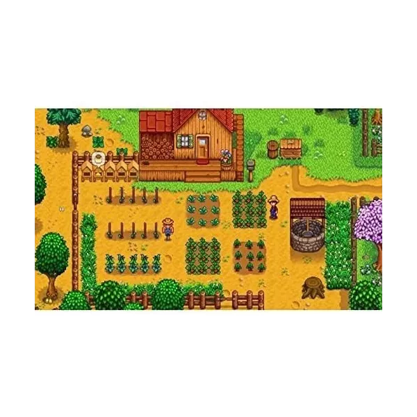 Stardew Valley Edition Collector