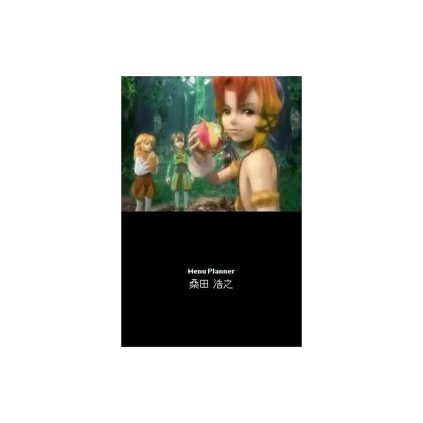 Final Fantasy Crystal Chronicles : Ring of Fates Nintendo DS