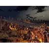 Total War : Rome