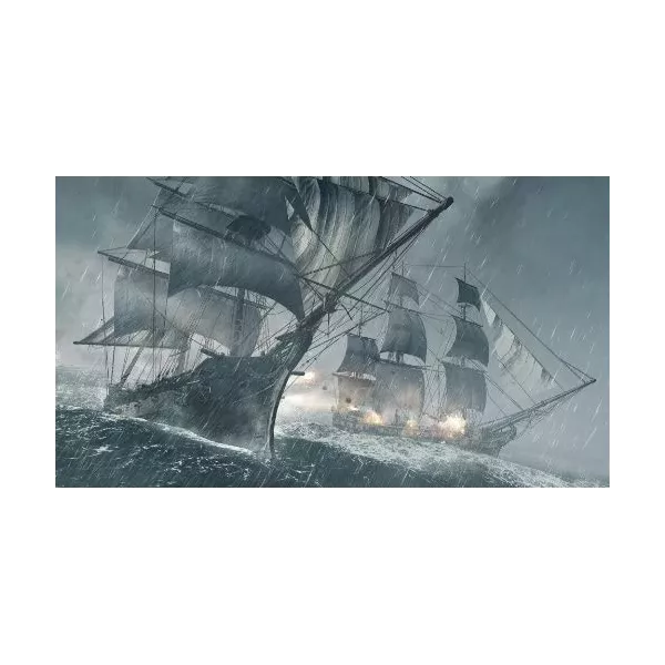 Assassin's Creed IV : Black Flag