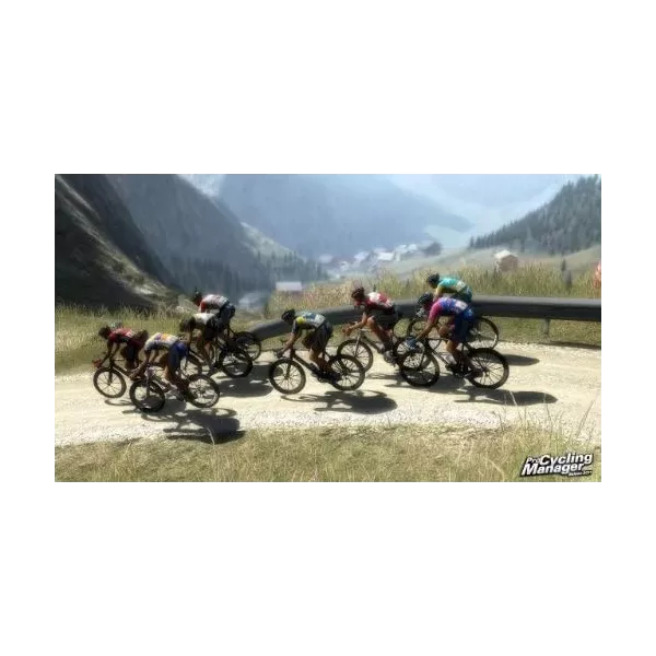 Pro cycling manager - Tour de France 2011 - silver