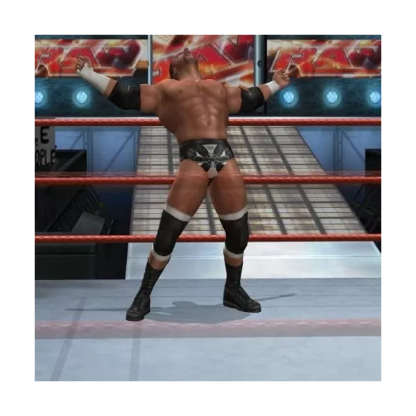 Wwe Smackdown Vs Raw 2008