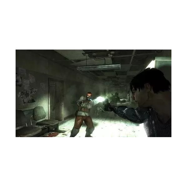 Dark Sector