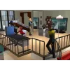 Les Sims 2 : La vie en appartement