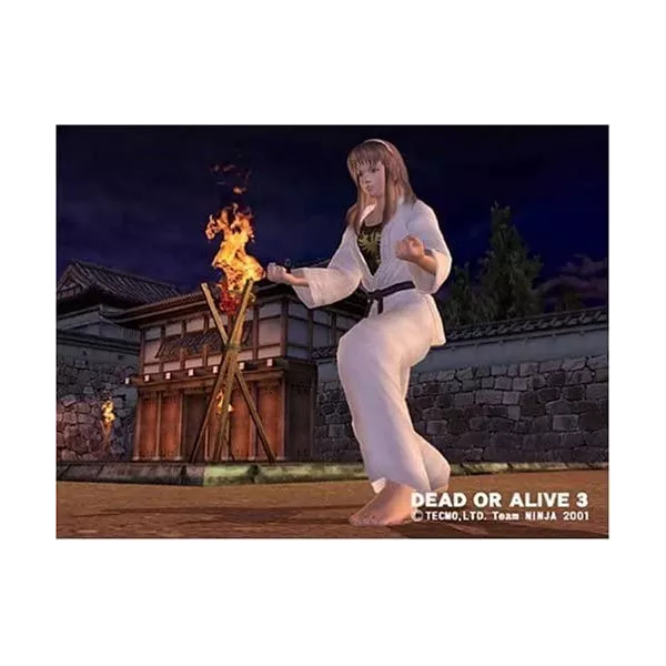 Dead Or Alive 3